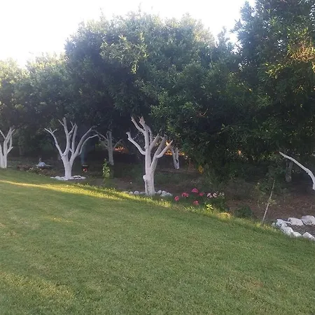 Vila Villa Green